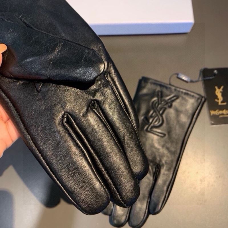 YSL Gloves