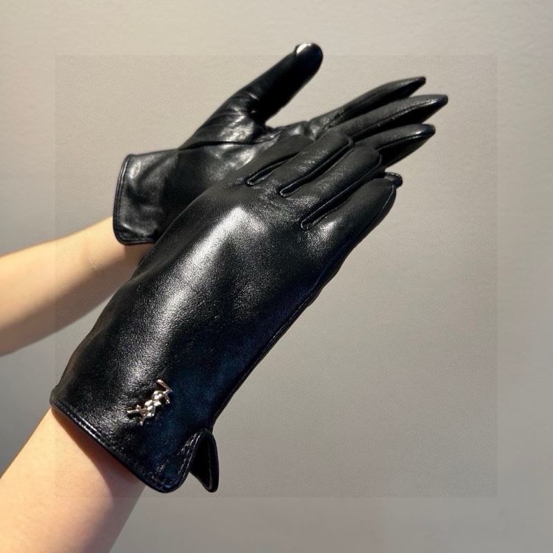 YSL Gloves