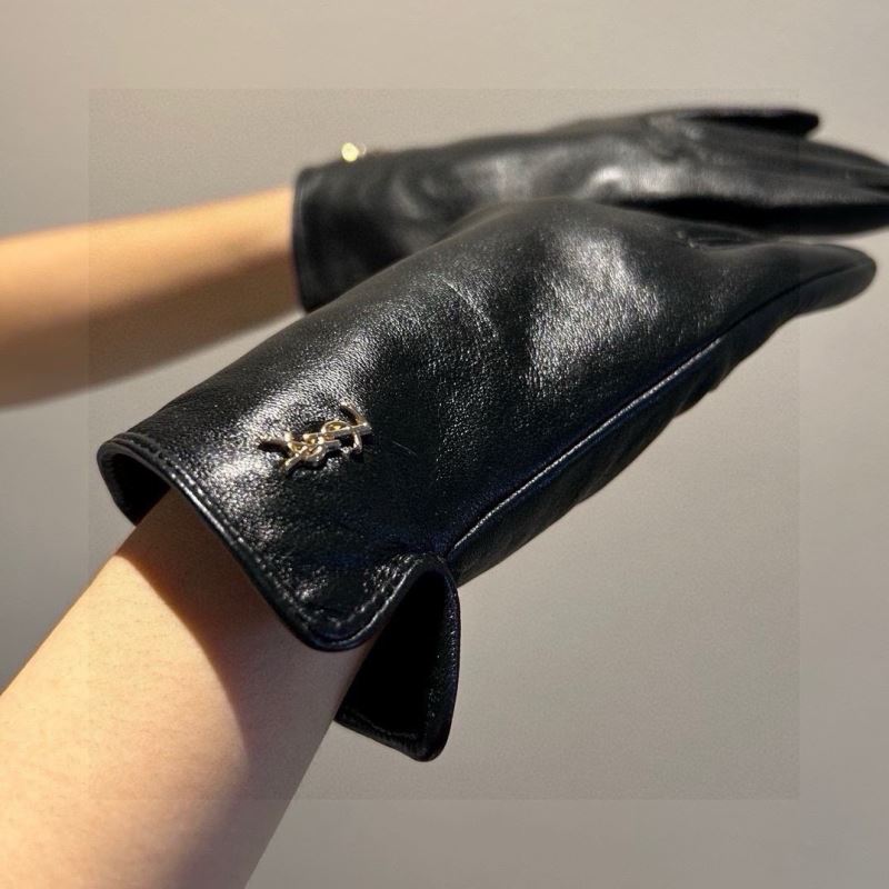 YSL Gloves