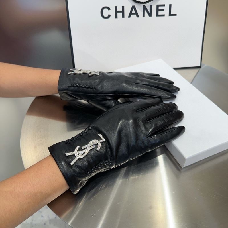 YSL Gloves