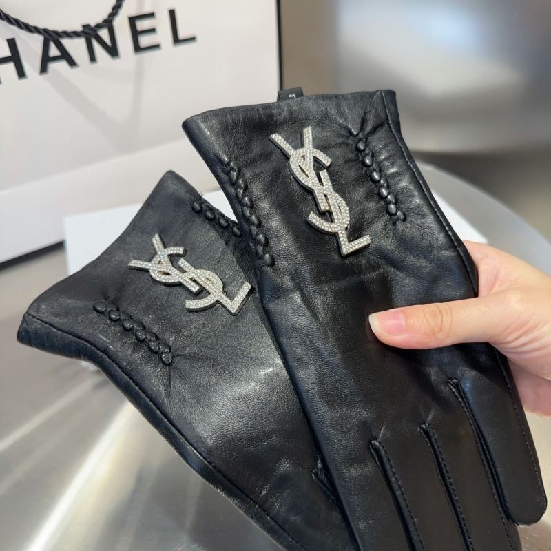 YSL Gloves