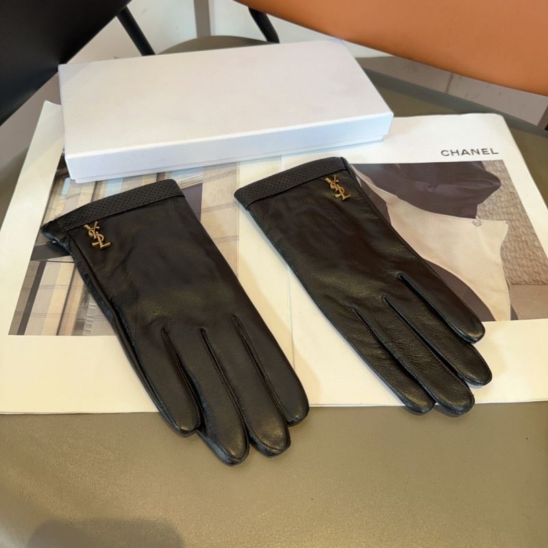 YSL Gloves