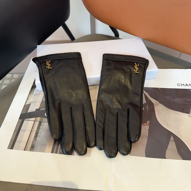 YSL Gloves