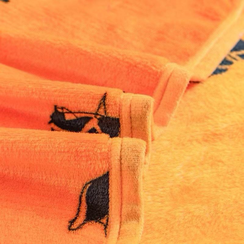 Hermes Blanket