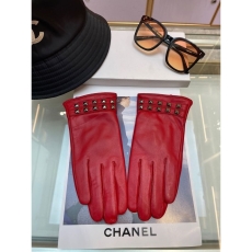 Valentino Gloves