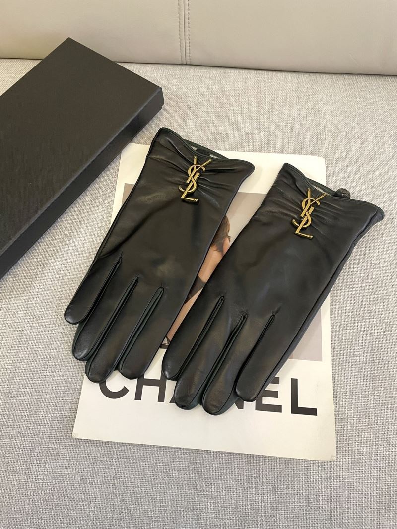 YSL Gloves