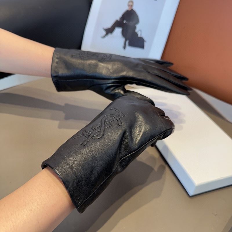 YSL Gloves