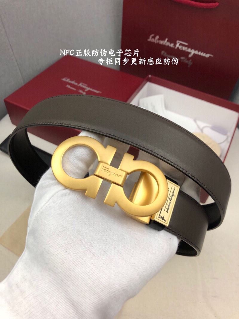 Ferragamo Belts