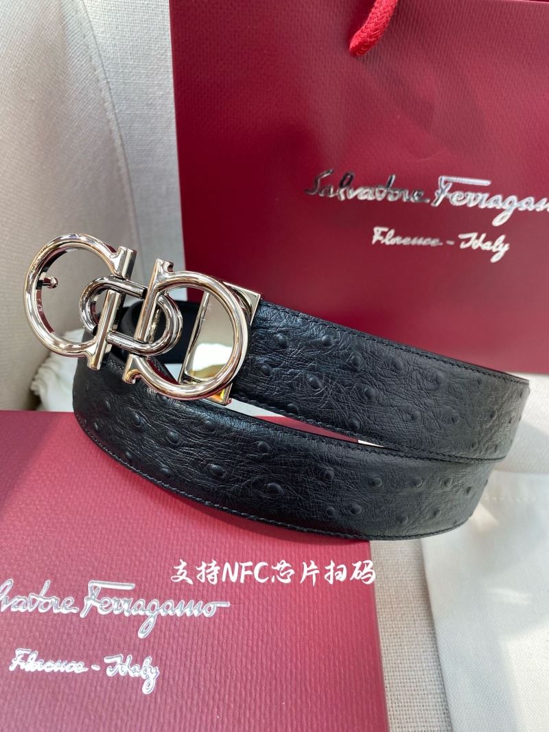 Ferragamo Belts