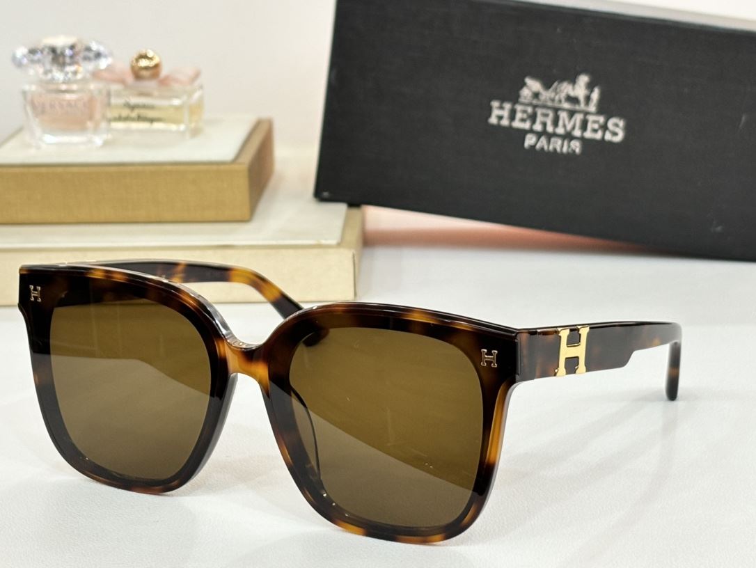 Hermes Sunglasses